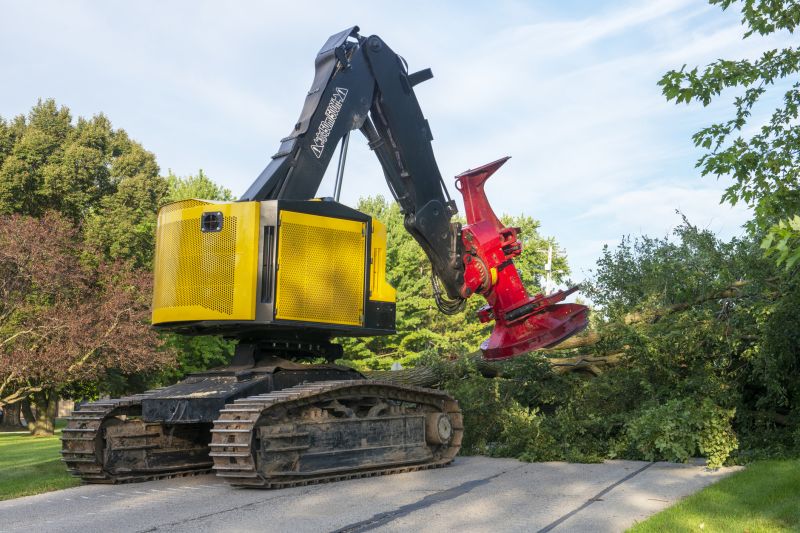 Emergency Tree Removal Equipment